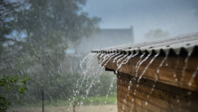 Gujarat Rain