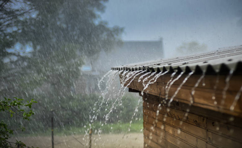 Gujarat Rain