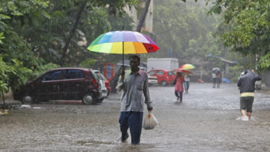 Rain Gujarat