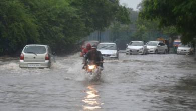 5 રાજ્યોમાં ભારે વરસાદ