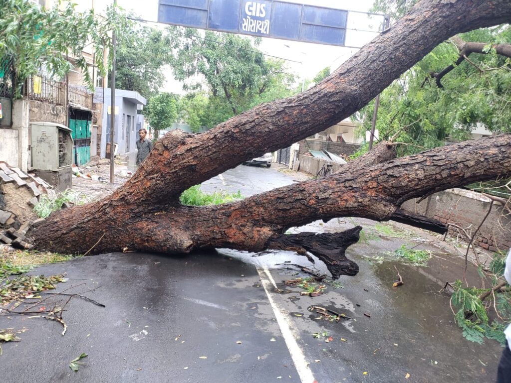 ahmedabad Flood 01