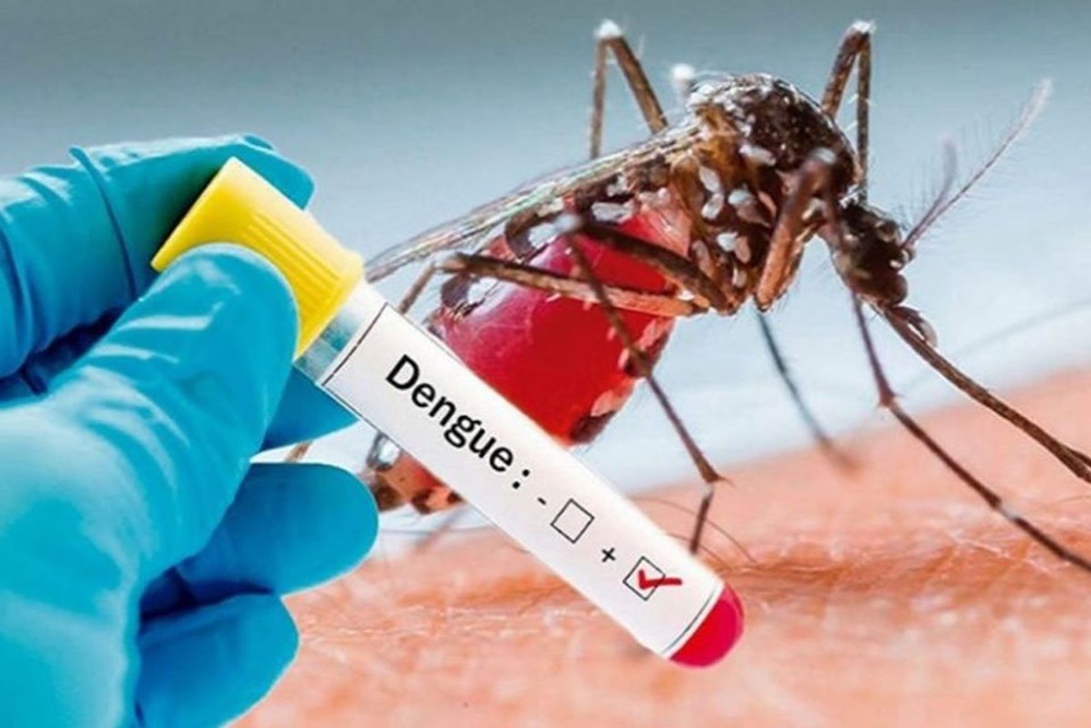 Dengue: ક્યાંક તમારા ફ્રિજમાં તો નથી છુપાયા ને ડેંગ્યુના મચ્છર? hum dekhenge news