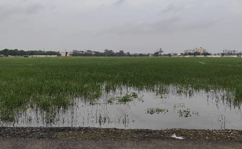 lepresi ground vadodara