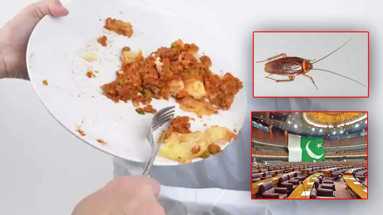 pakistan food parliament