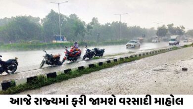 Gujarat Rain update Hum Dekhenege