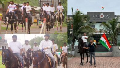 Hum Dekhenege Stallion Horse Riding School ADI