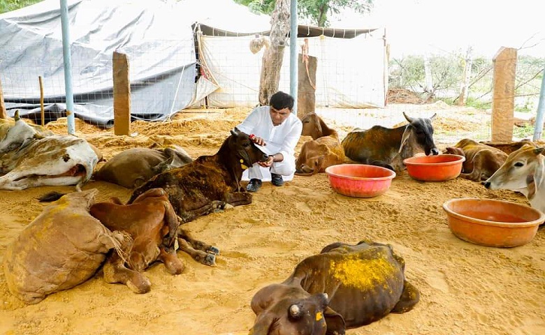 ગૌશાળા