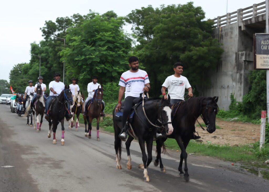 Stallion Horse Riding School ADI 01