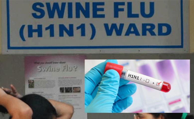 Swine Flu Gujarat