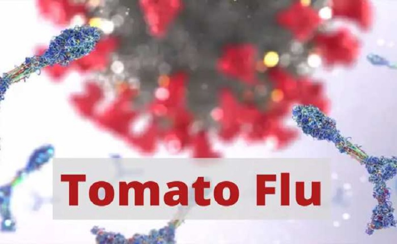 Tomato Flu