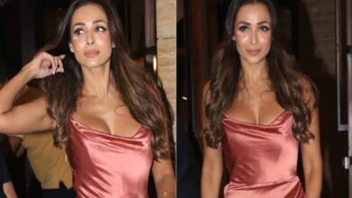 malaika arora_hum dekhenge news