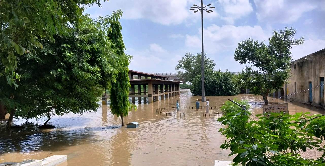 Chambal river devastation