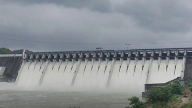 narmada dam