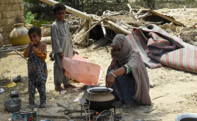 pakistani lady video viral