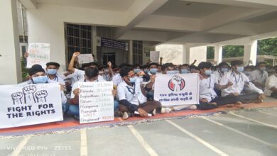 Veterinary doctors strike