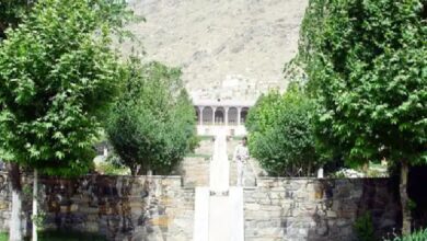 taliban garden