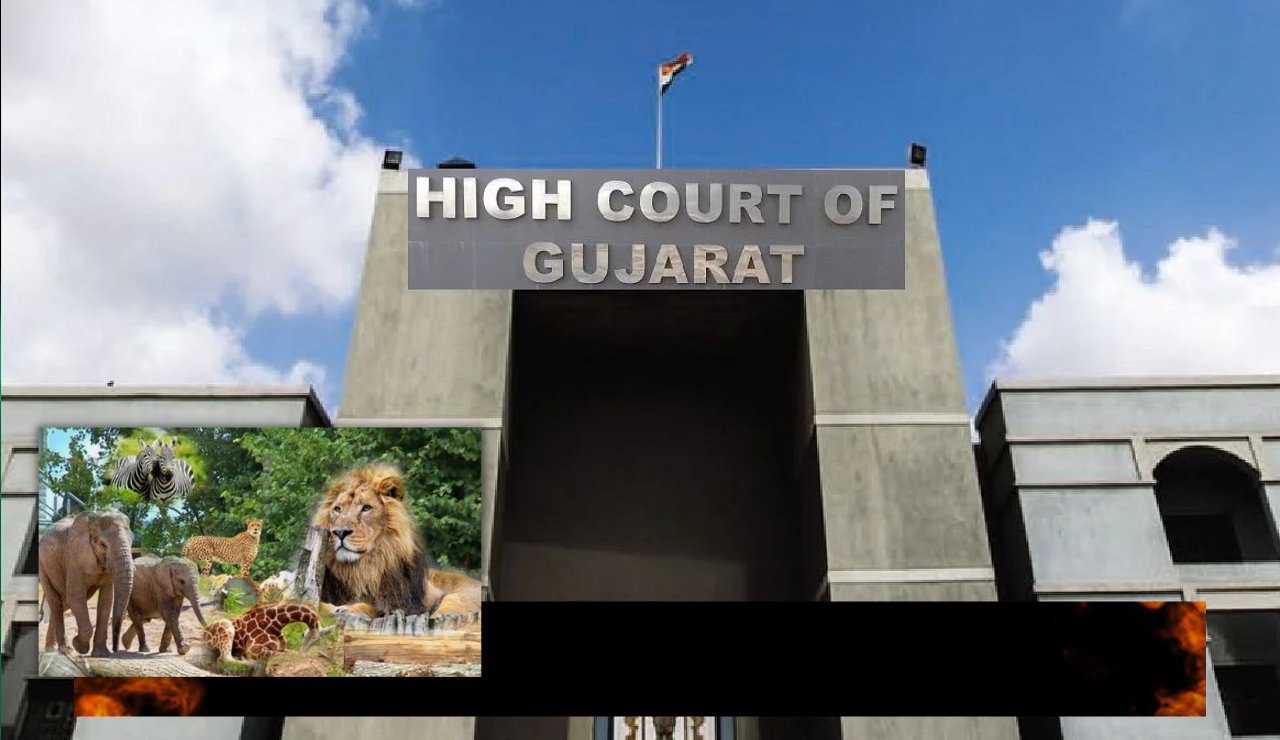 Gujarat High Court