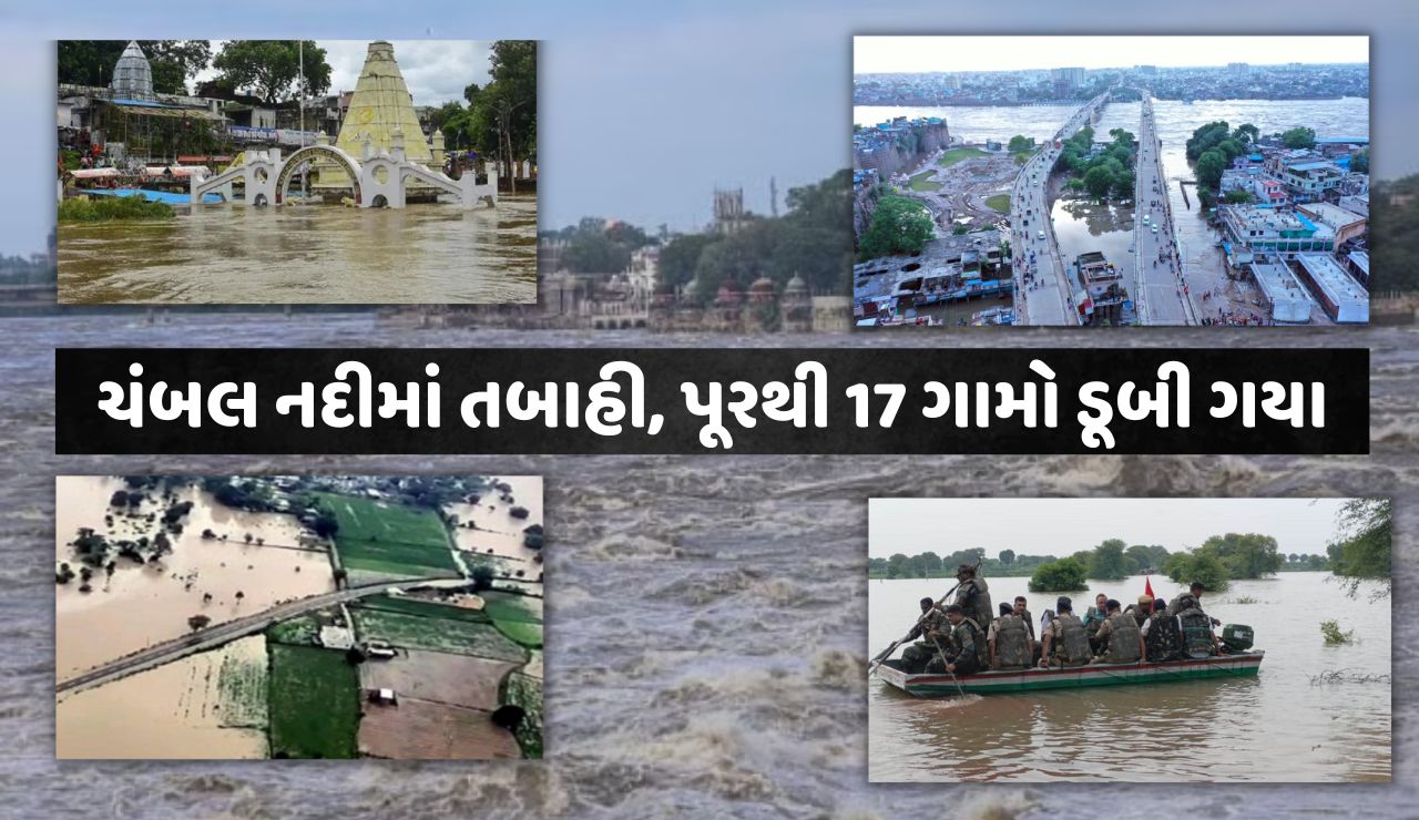 Chambal river devastation