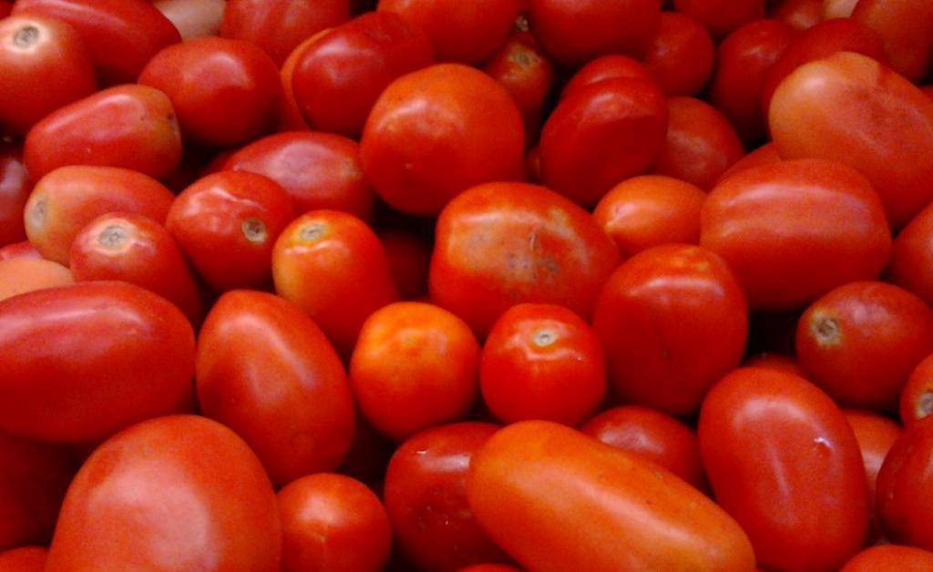 Tomato Price Hike: ટામેટાં નહિ થાય સસ્તા, ગુજરાત બહાર પણ ઊંચા ભાવ hum dekhenge news