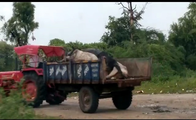 ડીસા- humdekhengenews