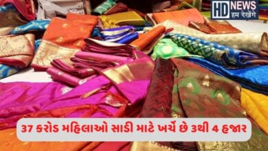 સાડી - humdekhengenews