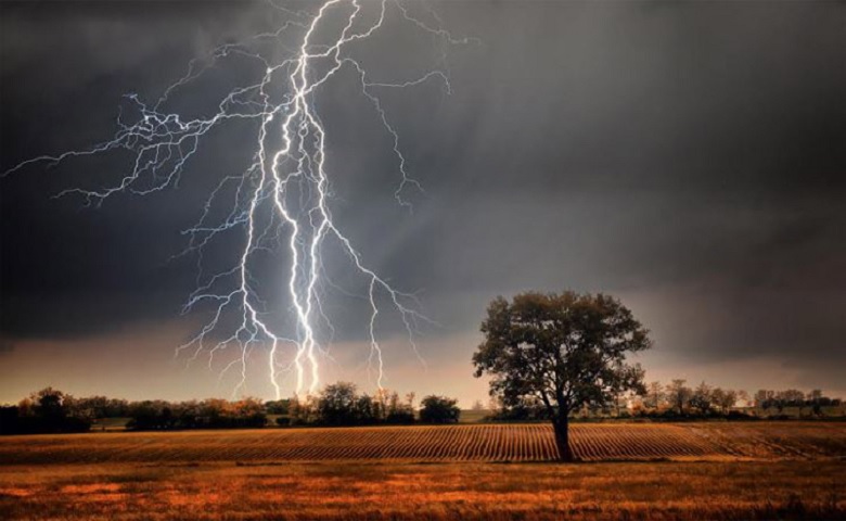 Lightning strikes in bihar