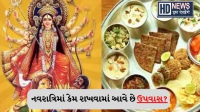 NAVRATRI- HUM DEKHENGE