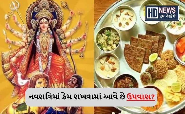 NAVRATRI- HUM DEKHENGE