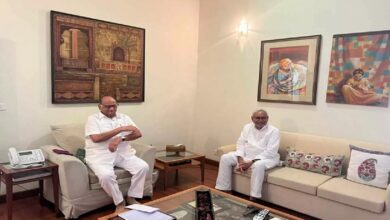 Nitish Kumar meets Sharad Pawar