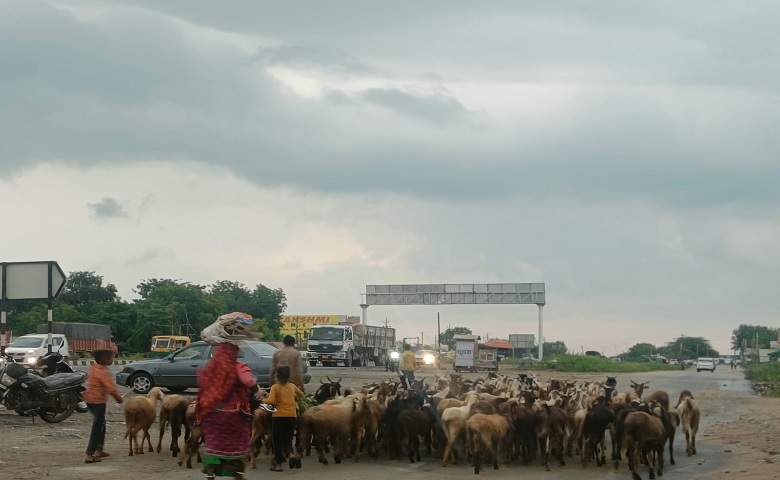 બનાસકાંઠા 