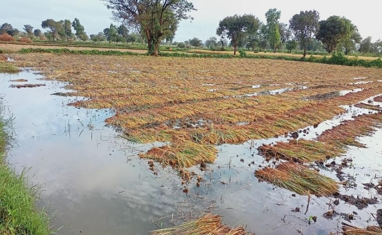 damage to agricultural crops