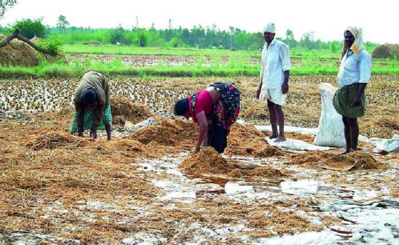 damage to agricultural crops