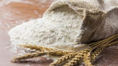 wheat flour price is increas