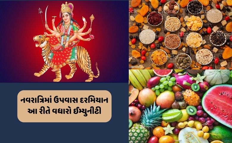 નવરાત્રિમાં ઉપવાસ દરમિયાન આ રીતે વધારો ઈમ્યુનીટી- humdekhengenews