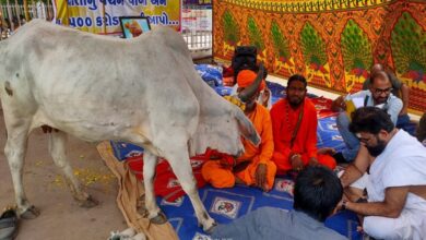 પાલનપુર-humdekhengenews