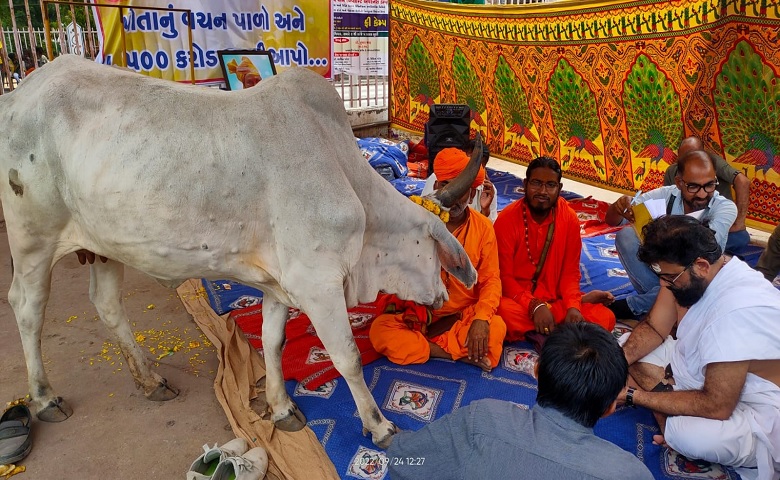 પાલનપુર-humdekhengenews