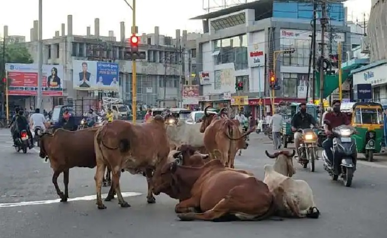 AHMDABAD- HUM DEKHENGE