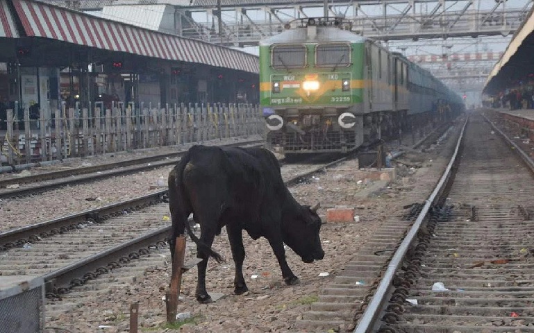 VALSAD=- HUM DEKHENGE