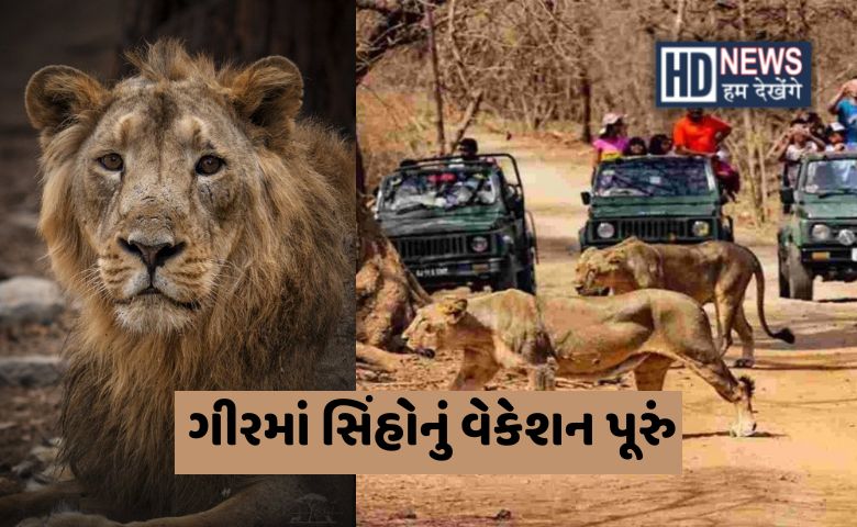 Gir Lion Hum Dekhenege News