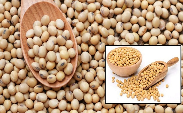 Soybean Hum Dekhenge