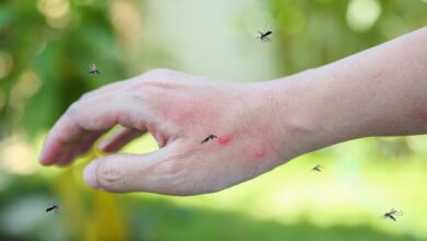 Mosquito Treatment Hum Dekhenge