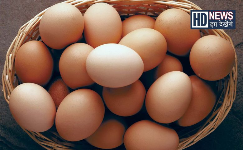 World Egg Day - Hum Dekhenge News