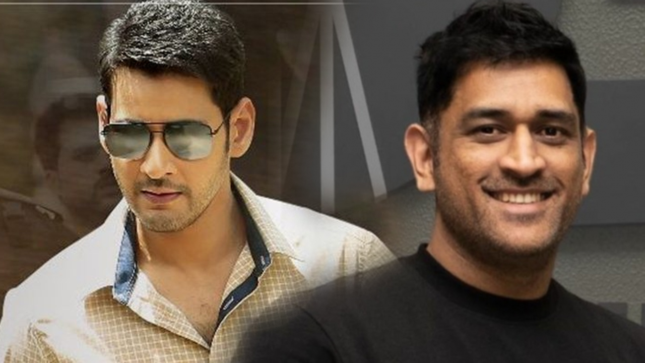 MS-Dhoni-Mahesh-Babu-Vijay-Thalapathy-Latest-News-14-10-2022