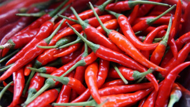 Red Chili File Image Hum Dekhenge