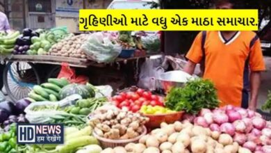 શાકભાજીના ભાવમાં વધારો Hum Dekhenege News