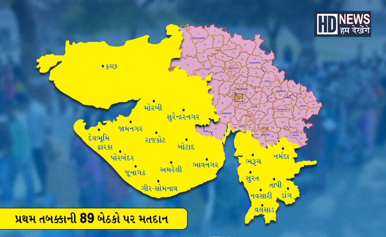 1st phase of Voting Gujarat Hum Dekhenge News