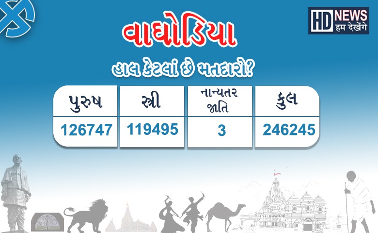 Voters, Gujarat, AssemblyElection, BJP, AAP, Congress, Humdekhenge   Gujaratinews, Vadodara