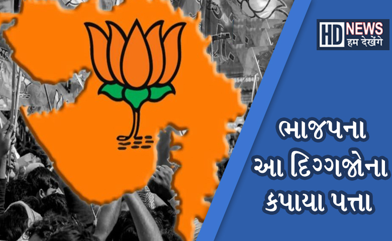 BJP-HUM DEKHENGE NEWS