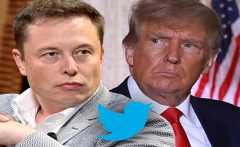 Elon Musk and Donald Trump imga