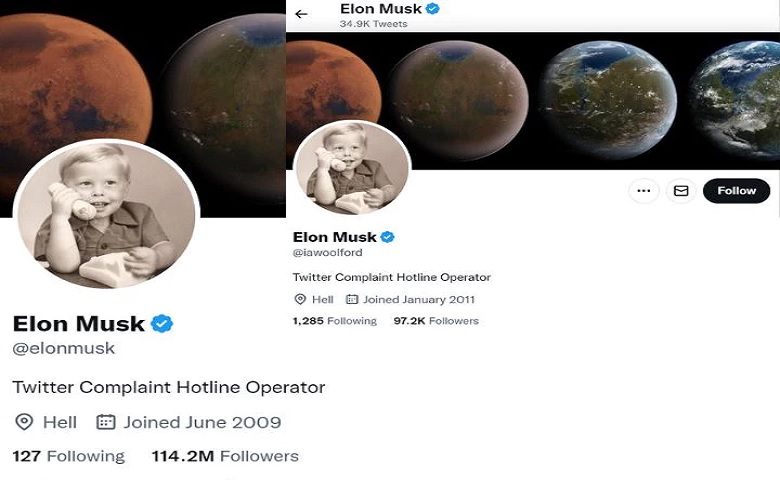 Elon musk fake twitter account